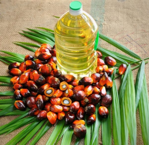 Palm Oil For Sale