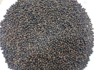 Black Pepper For Sale