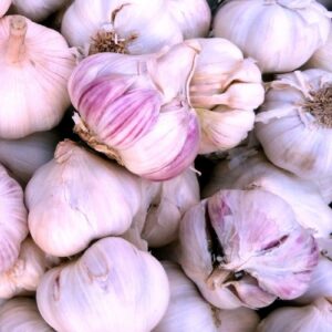 garlic-for-sale