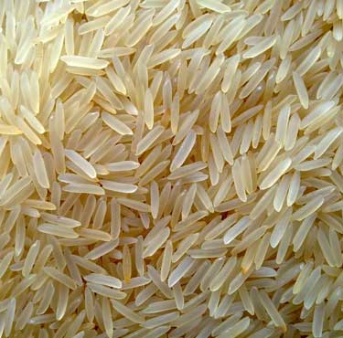 rice-for-sale