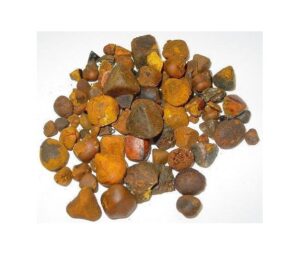 Ox Cow Gallstones for sale